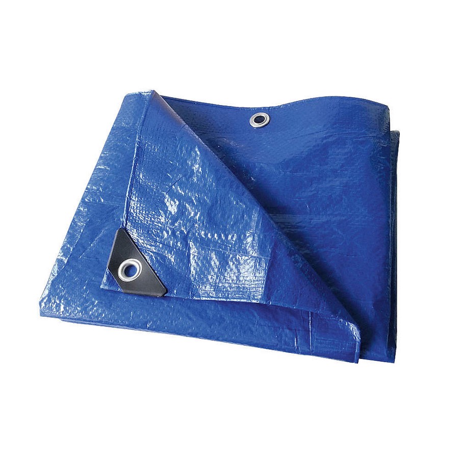 LONA PLASTICA 8X10 AZUL PET0810